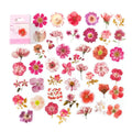 COLECCION STICKER PET EN CAJA, DISEÑO ROSADO