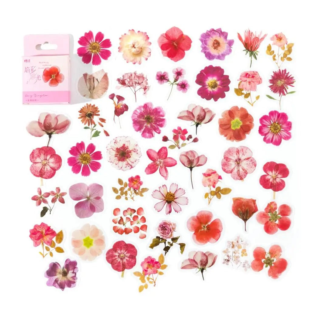 COLECCION STICKER PET EN CAJA, DISEÑO ROSADO