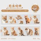 WASHI TAPE GATITOS 30794