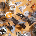 WASHI TAPE GATITOS 30794