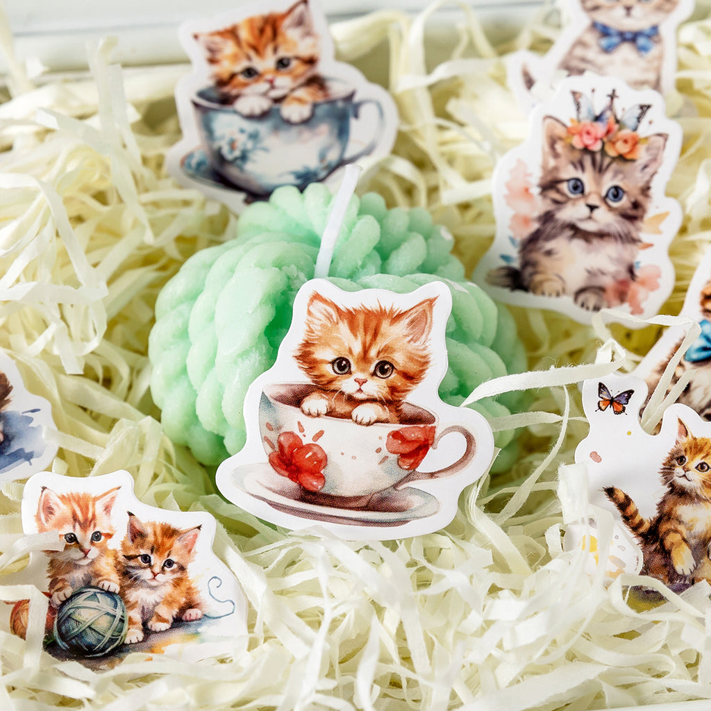 CAJA STICKER GATITOS BEBES
