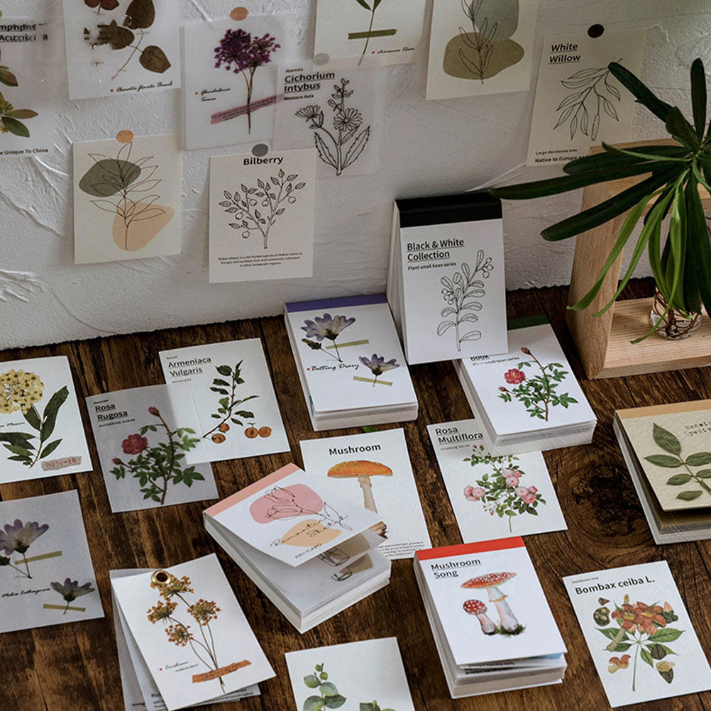 LIBRO PAPELES Y PAPEL VEGETAL