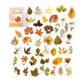 COLECCION STICKER PET EN CAJA, DISEÑO OTOÑO