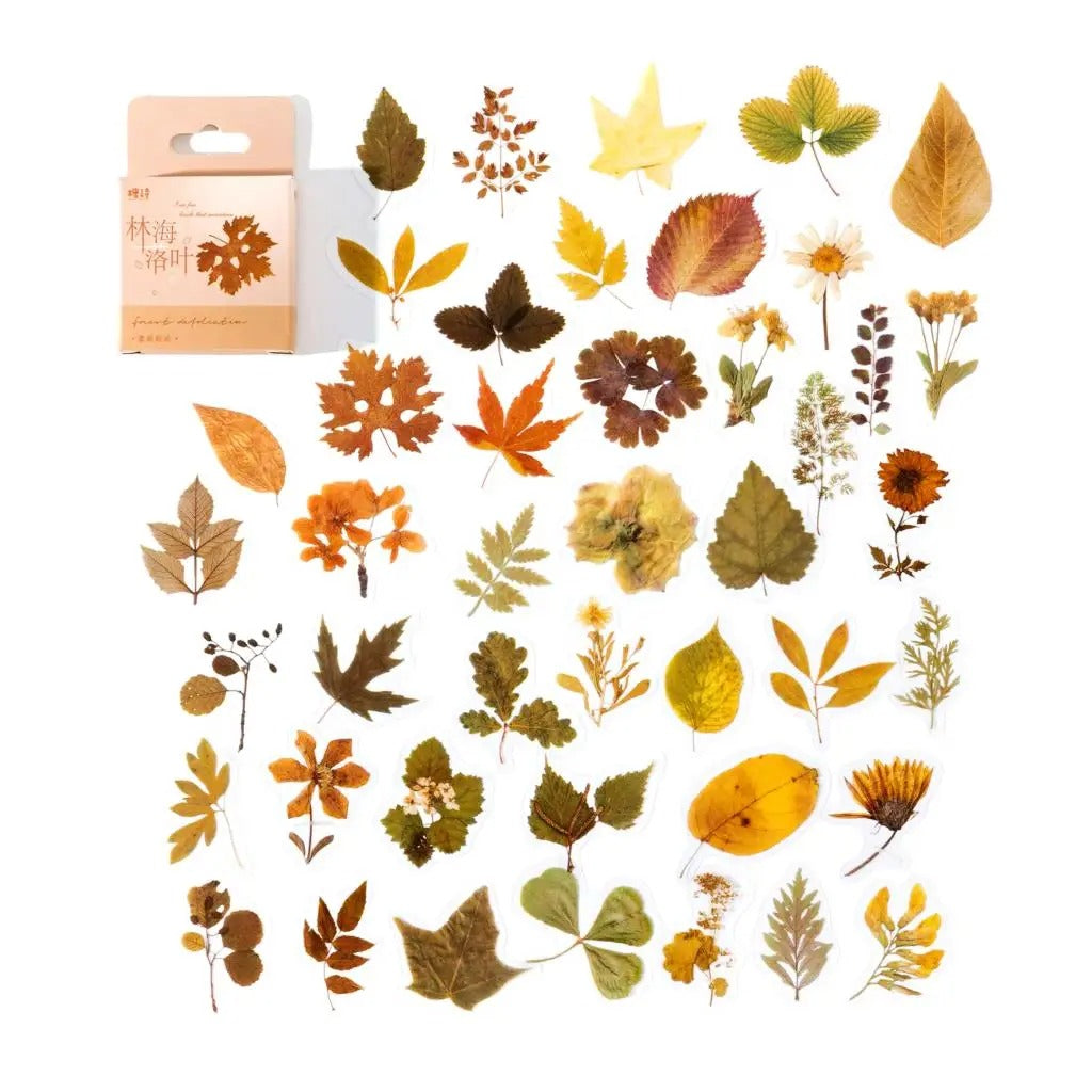 COLECCION STICKER PET EN CAJA, DISEÑO OTOÑO
