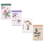 LIBRO PAPELES Y PAPEL VEGETAL