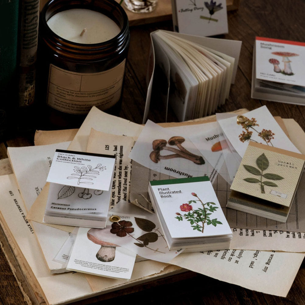 LIBRO PAPELES Y PAPEL VEGETAL