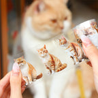 WASHI TAPE GATITOS 30794