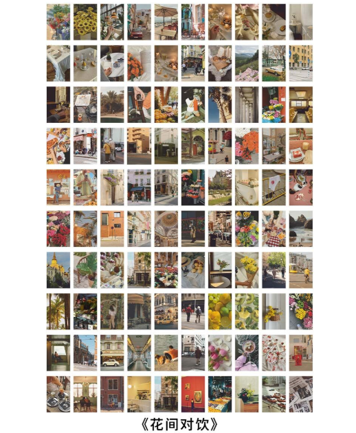 Libro de stickers fotográficos (100 hojas)