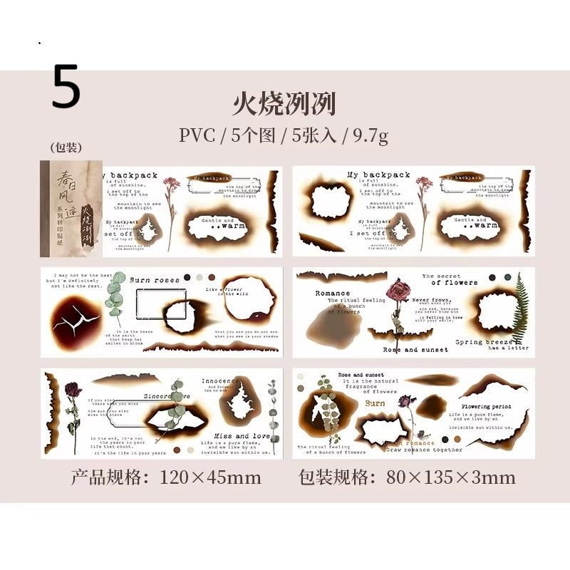 Ribbons transferibles PVC (5 hojas)