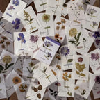 LIBRO PAPELES Y PAPEL VEGETAL