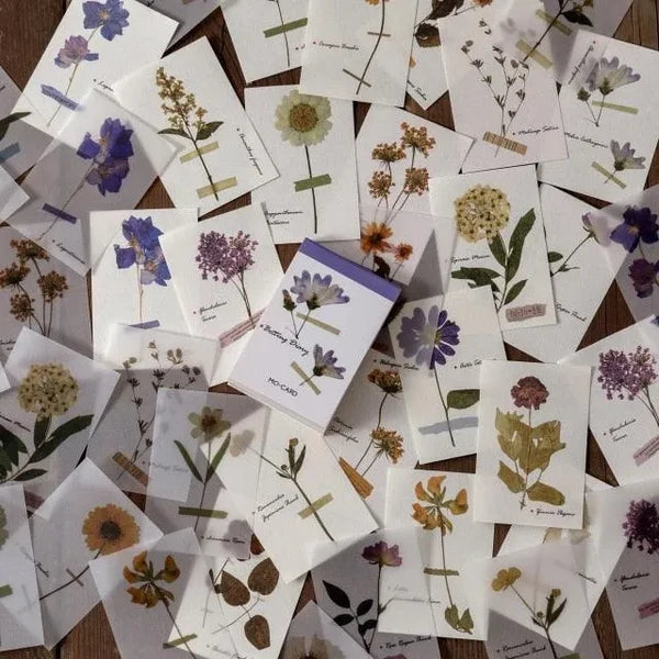LIBRO PAPELES Y PAPEL VEGETAL