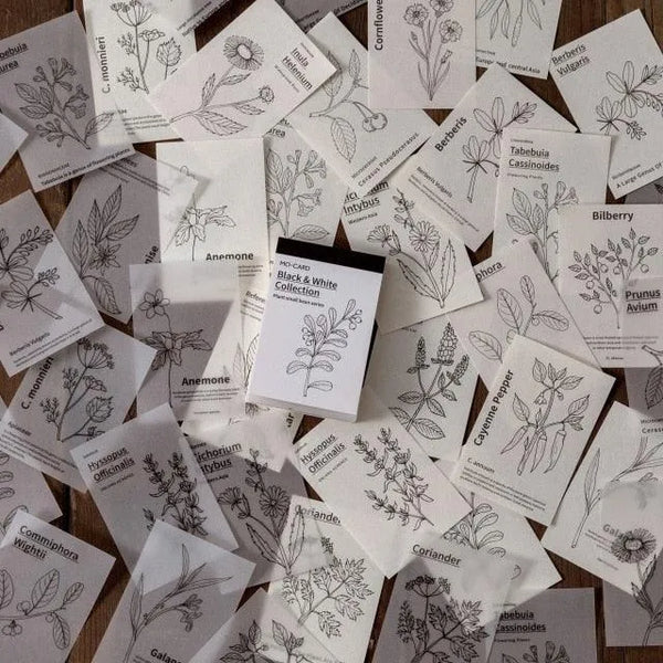 LIBRO PAPELES Y PAPEL VEGETAL