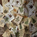 LIBRO PAPELES Y PAPEL VEGETAL