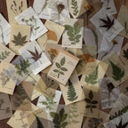 LIBRO PAPELES Y PAPEL VEGETAL