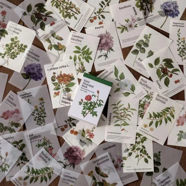 LIBRO PAPELES Y PAPEL VEGETAL