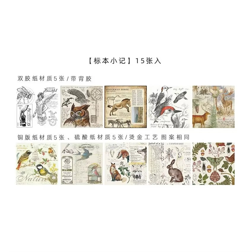 Kit de papeles y stickers Love and Freedom (15 piezas)