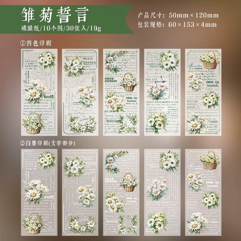 Libro de papeles vegetales impresos