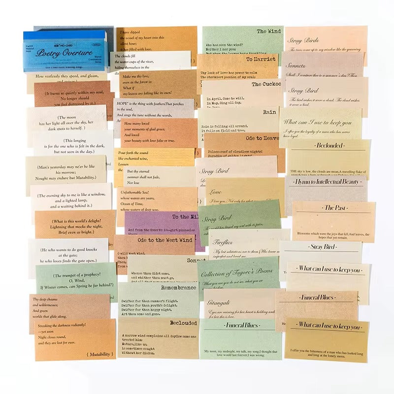 Libro de papeles decorativos Material Book (100 hojas)